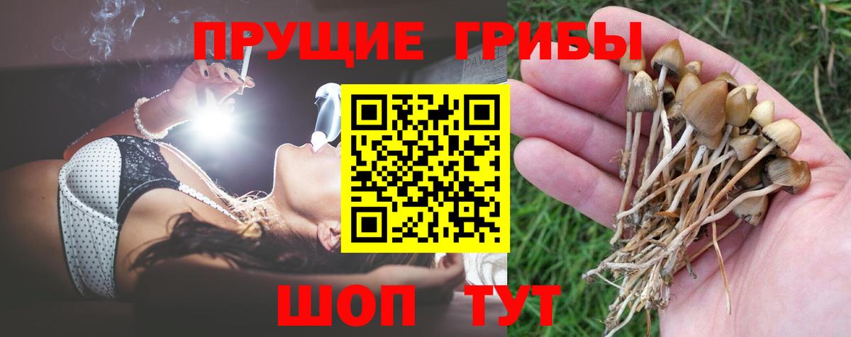 Псилоцибиновые грибы Cubensis  Псилоцибиновые грибы Psilocybe  Вход с VPN  Комсомольск-на-Амуре 