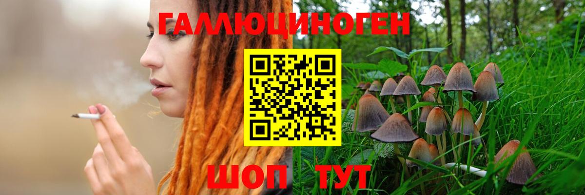 Галлюциногенные грибы Psilocybe Комсомольск-на-Амуре